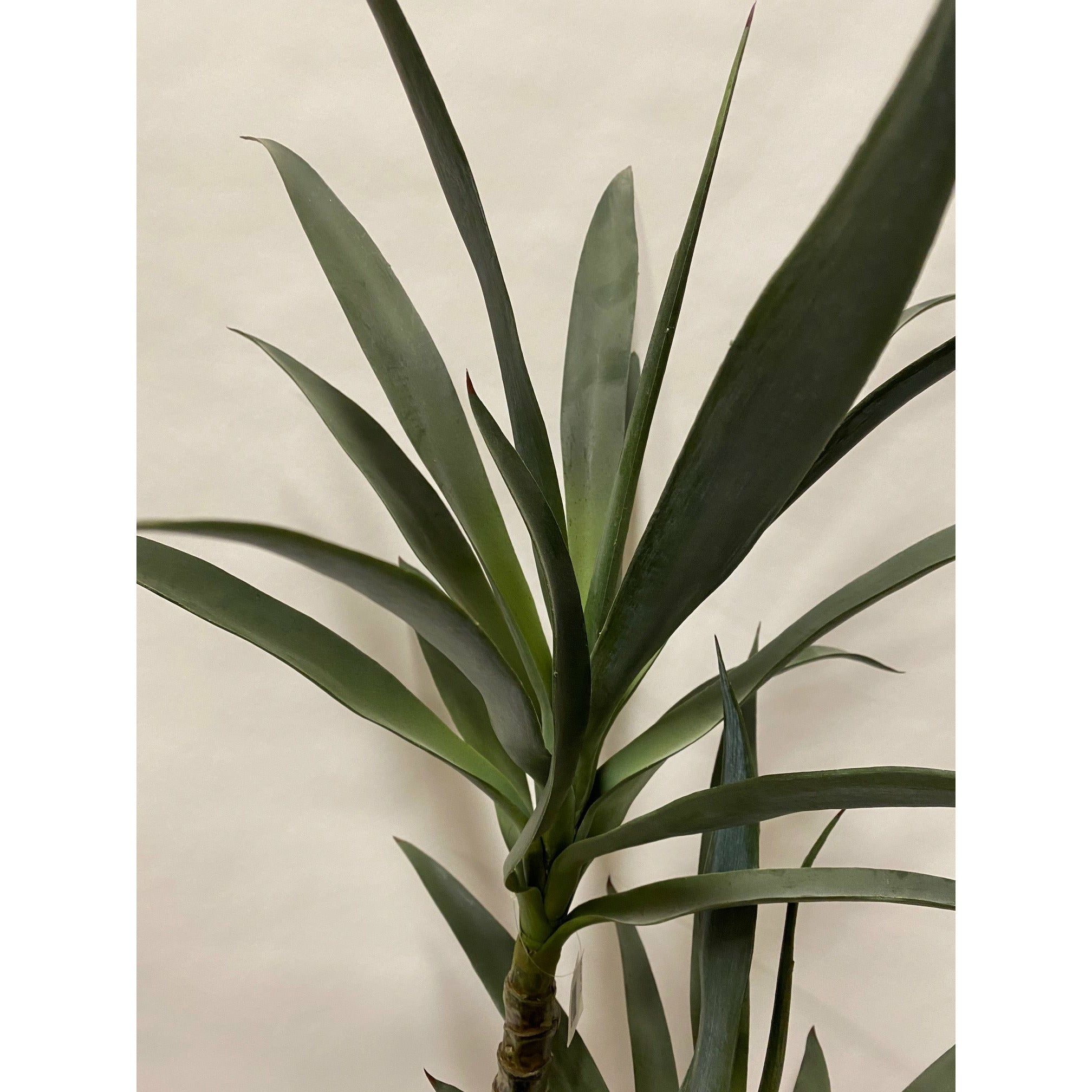 Yucca double head real touch 44""