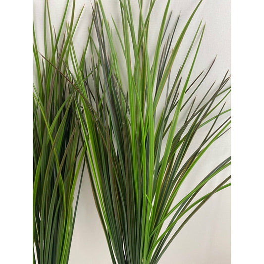 Straight grass burgandy green (Pack of 3)