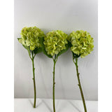 Hydrangea (Pack of 3)