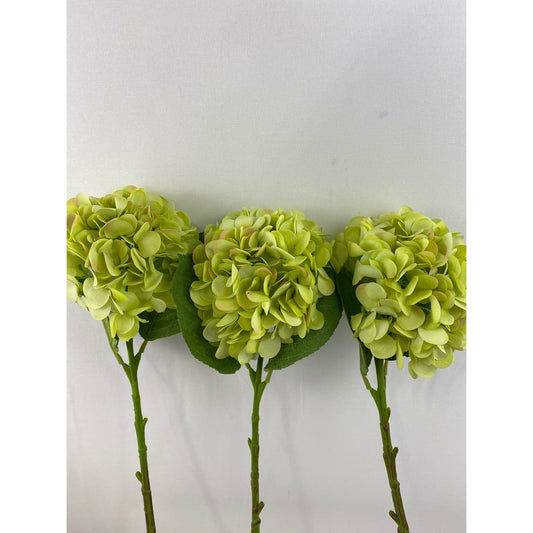 Hydrangea (Pack of 3)