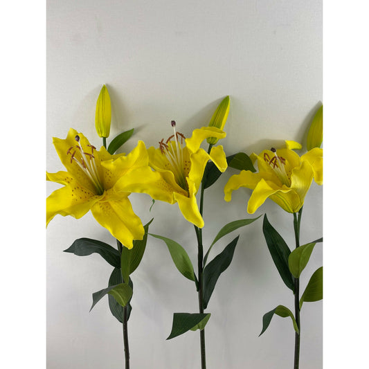 Tiger Lily (Pack of 3)