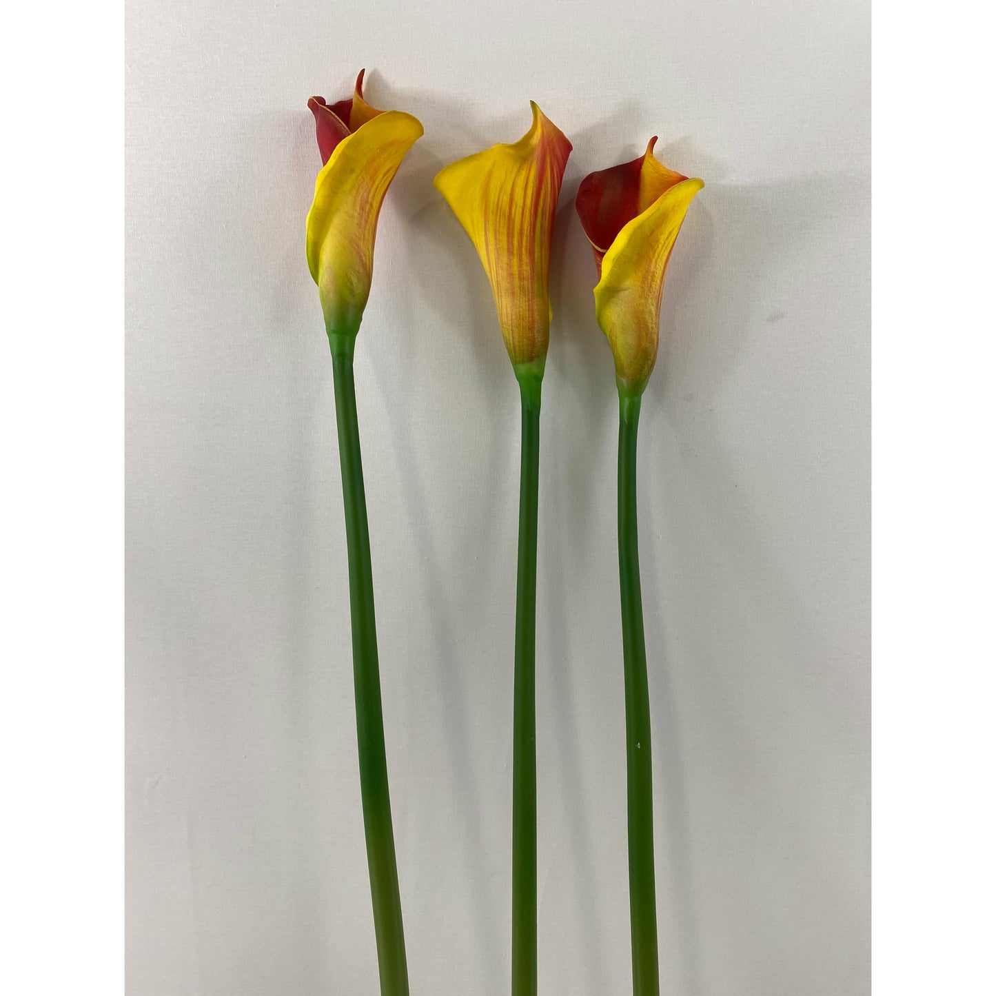 Cala Lily 25" (Pack of 6)