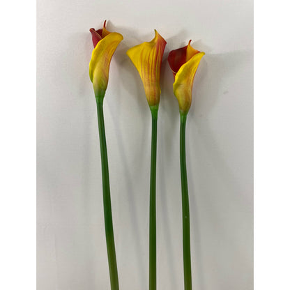 Cala Lily 25" (Pack of 6)