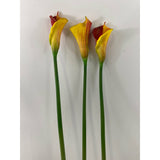 Cala Lily orange / red 25" (Pack of 6)
