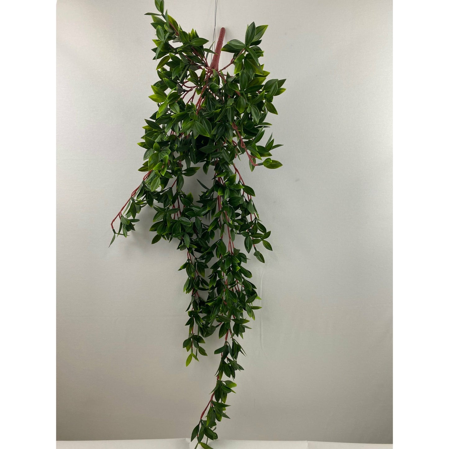 Juliet hanging bush 30"