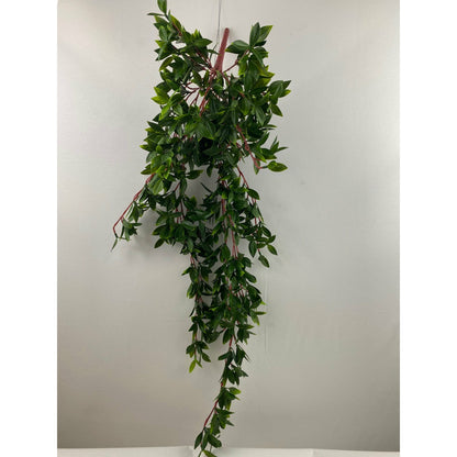 Juliet hanging bush 30"
