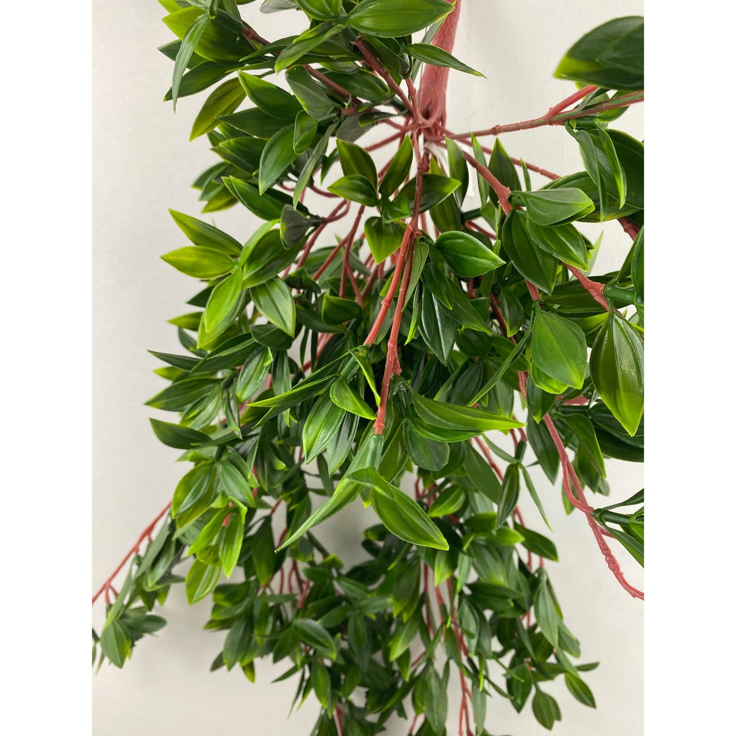 Juliet hanging bush 30"