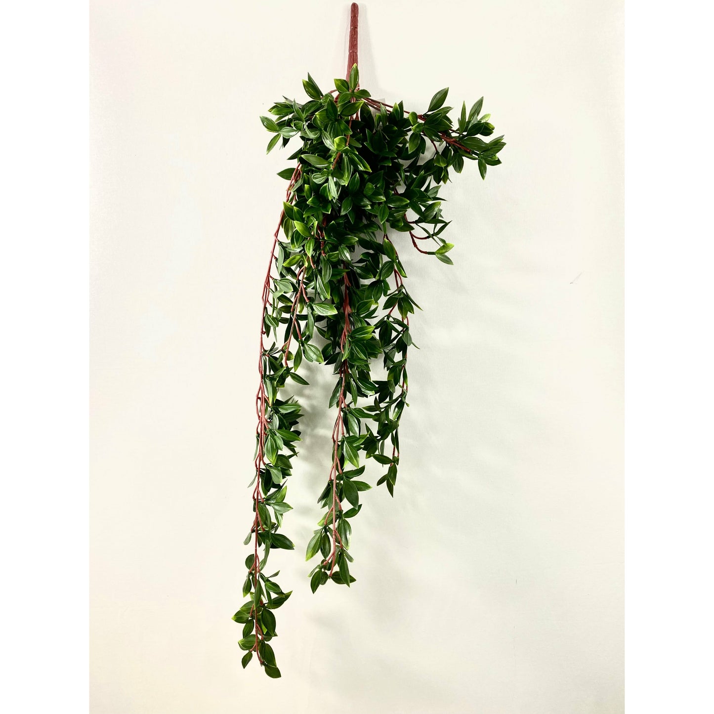 Juliet hanging bush 30"