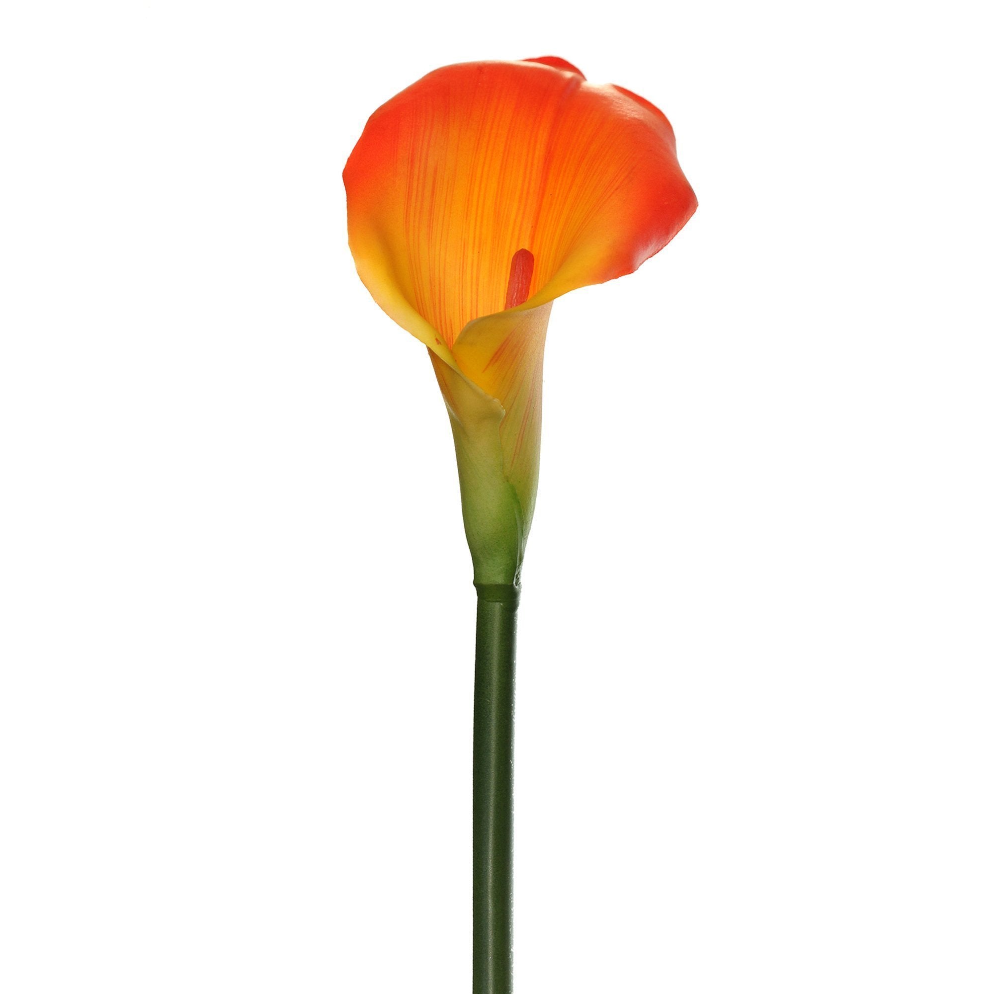 Large Calla Lily 25” (Pack of 6)