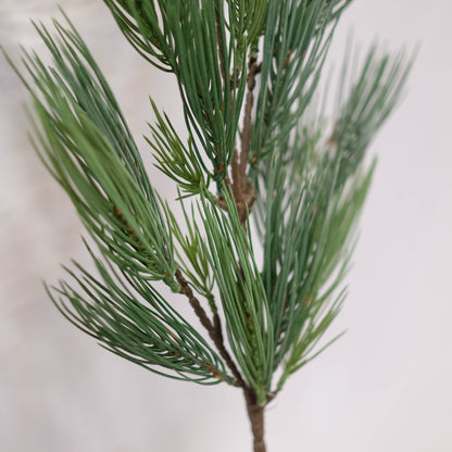 Long Pine Spray (Pack of 2)