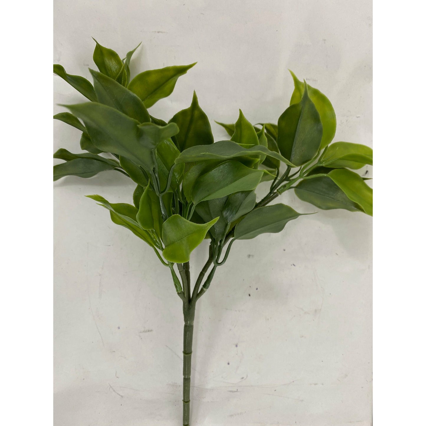 Floral Greens (Pack of 3)