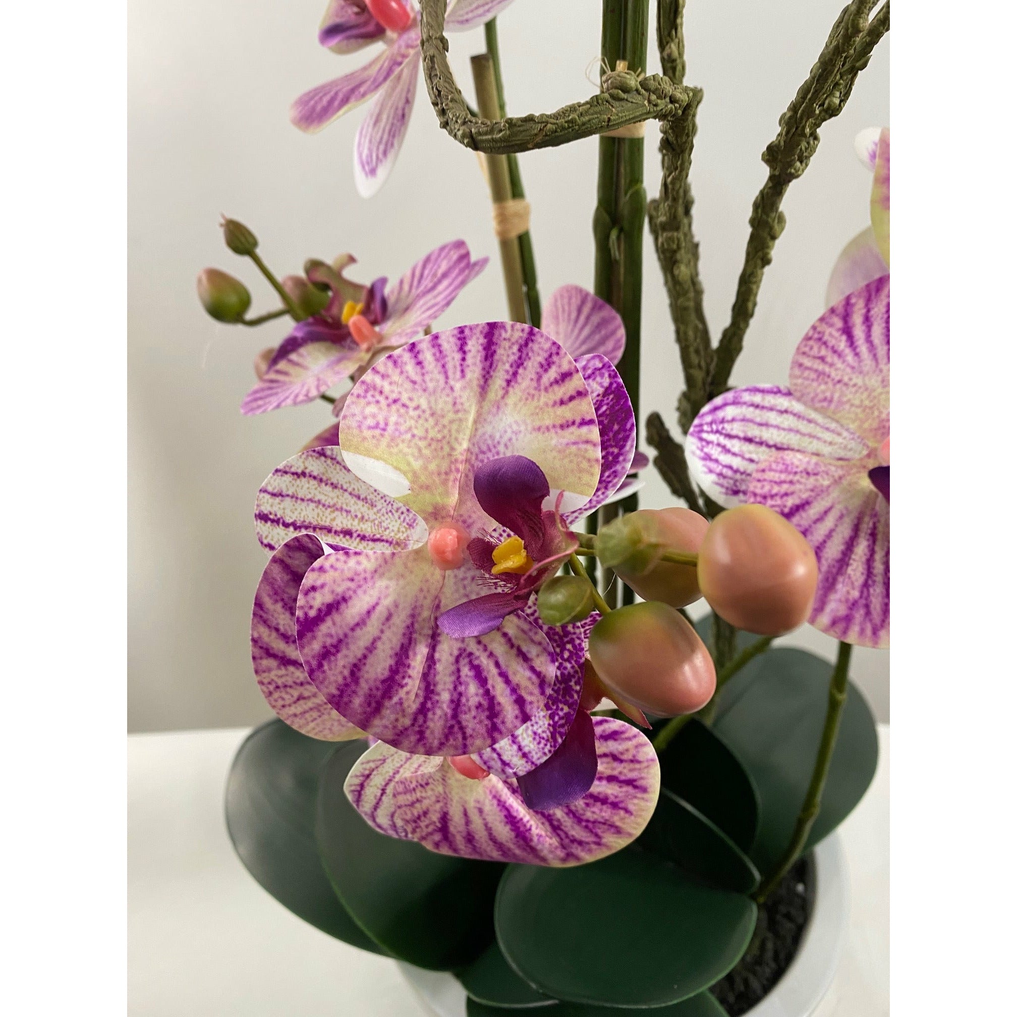 Phalaenopsis orchid designers vase 30"
