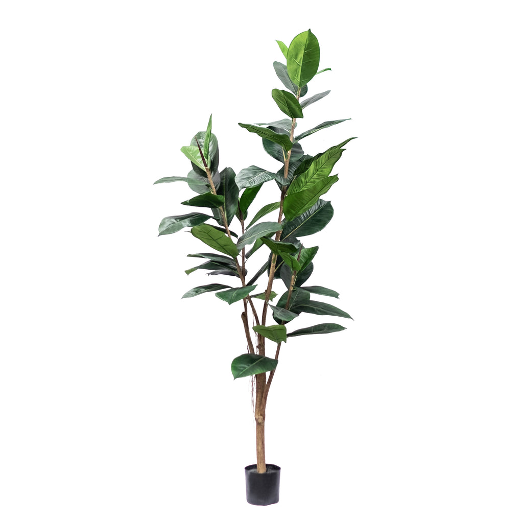 Rubber Plant 5ft Silk Plant Decor and More