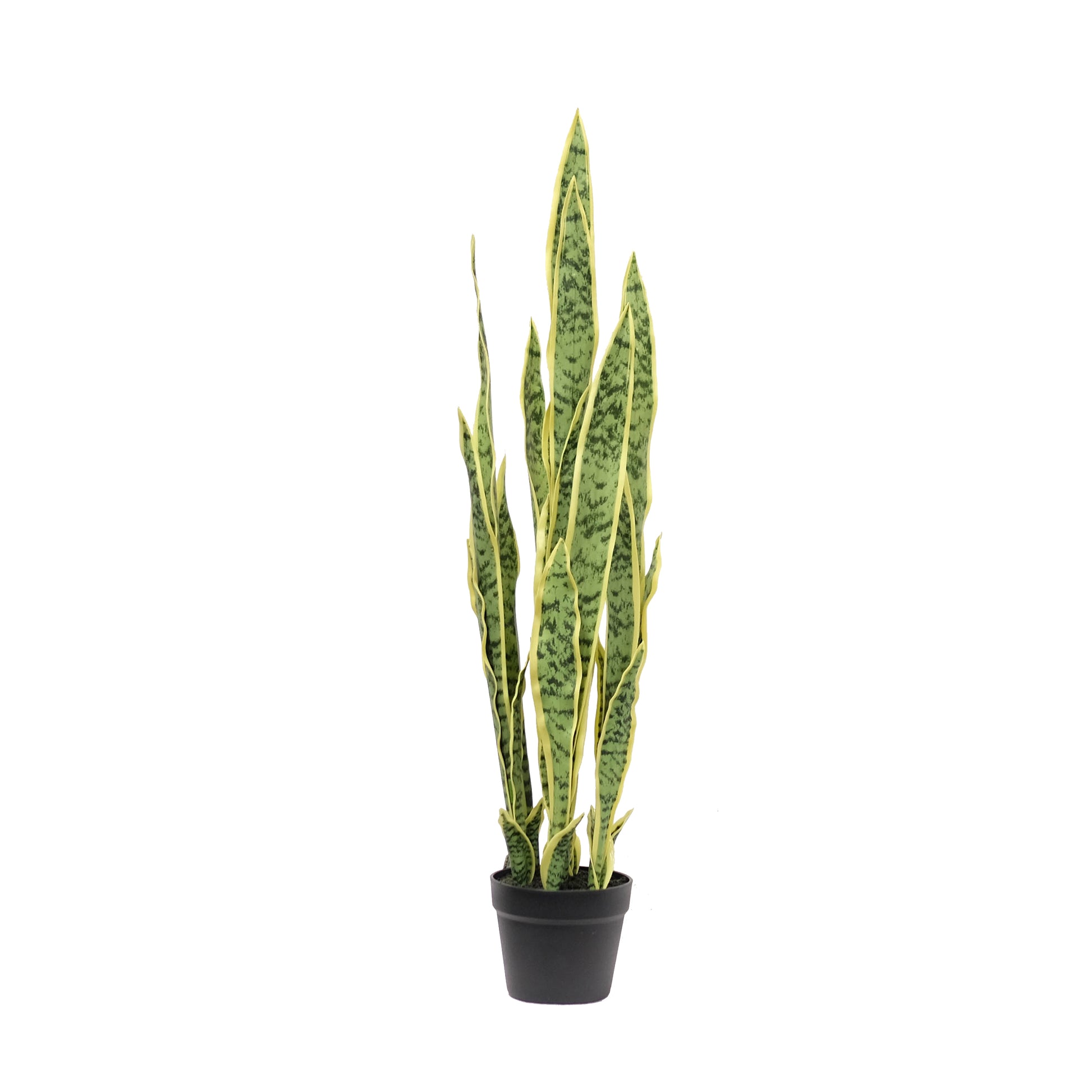 faux snake plant canada Potted Variegated Snake Plant 38.5" – Faux Potted Plant Canada