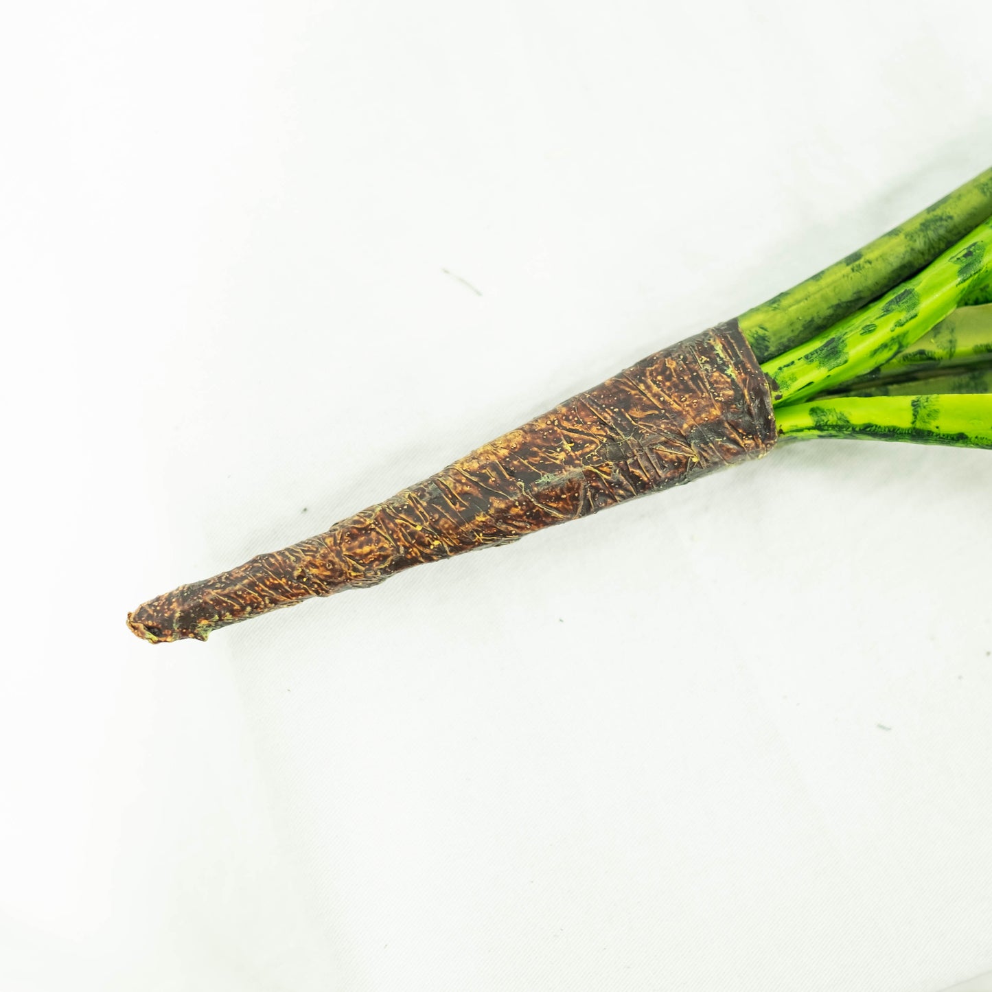 Sansevieria Plant (Pack of 3)