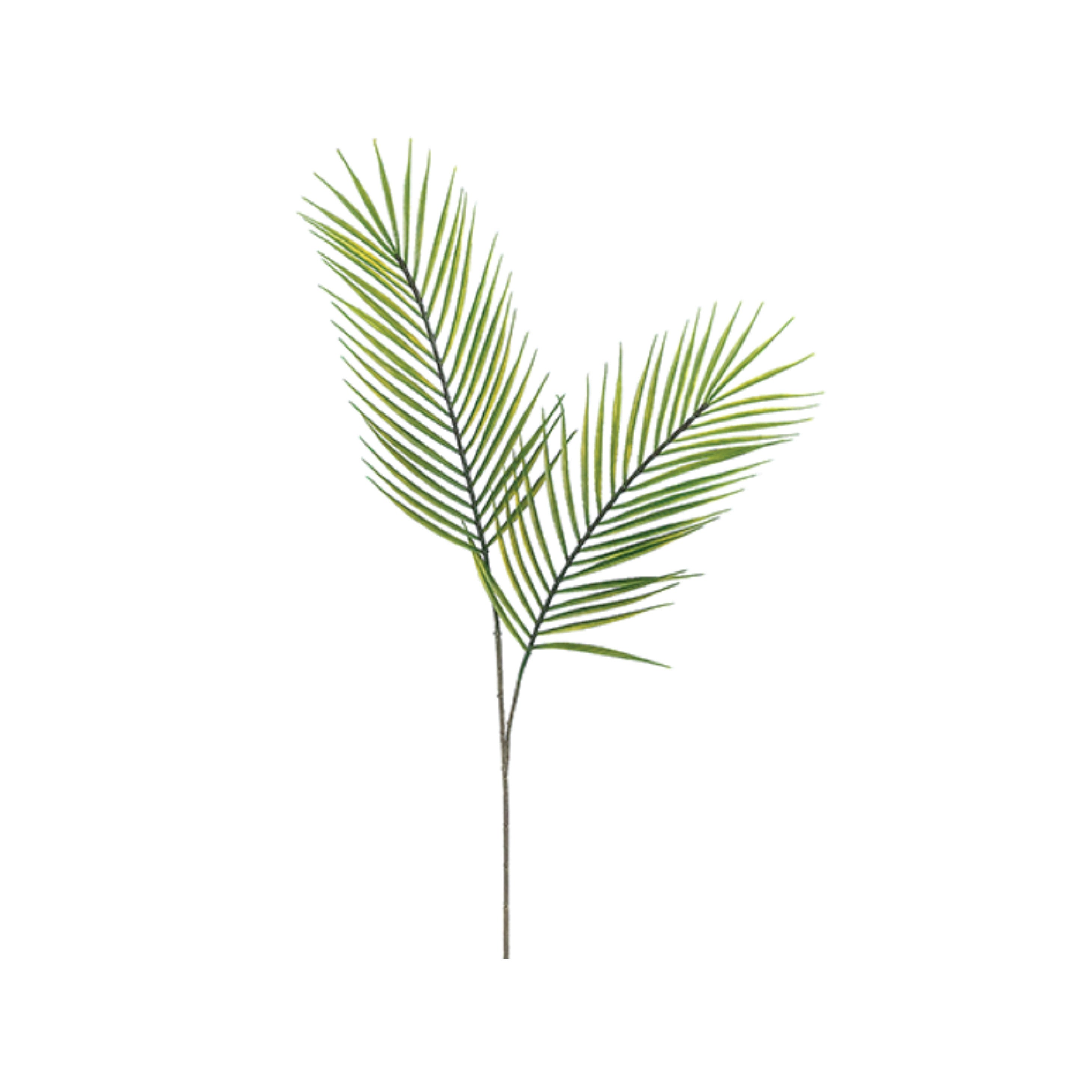 Areca Palm Leaf (Pack of 3)