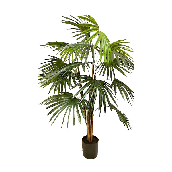 Fan Palm Silk Plant Decor and More
