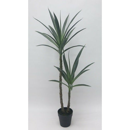 Yucca slim Ultra-leaf 44"