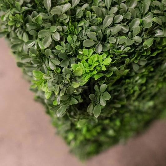 Boxwood Hedge (planters not included)