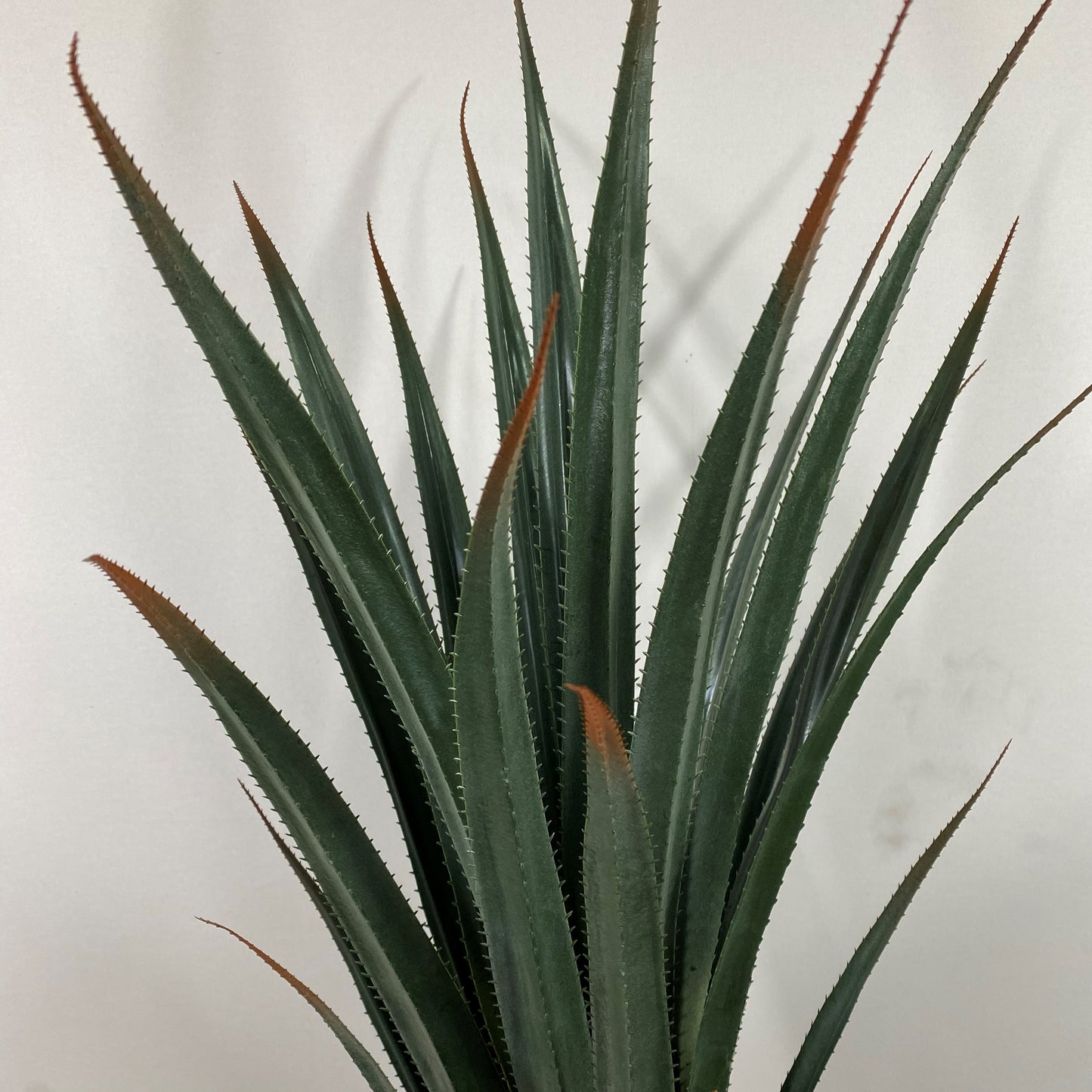 Giant Agave 40"