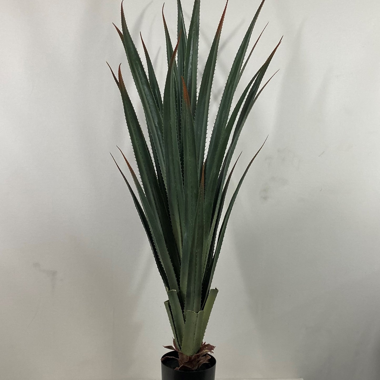 Giant Agave 40"