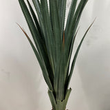 Giant Agave 40"