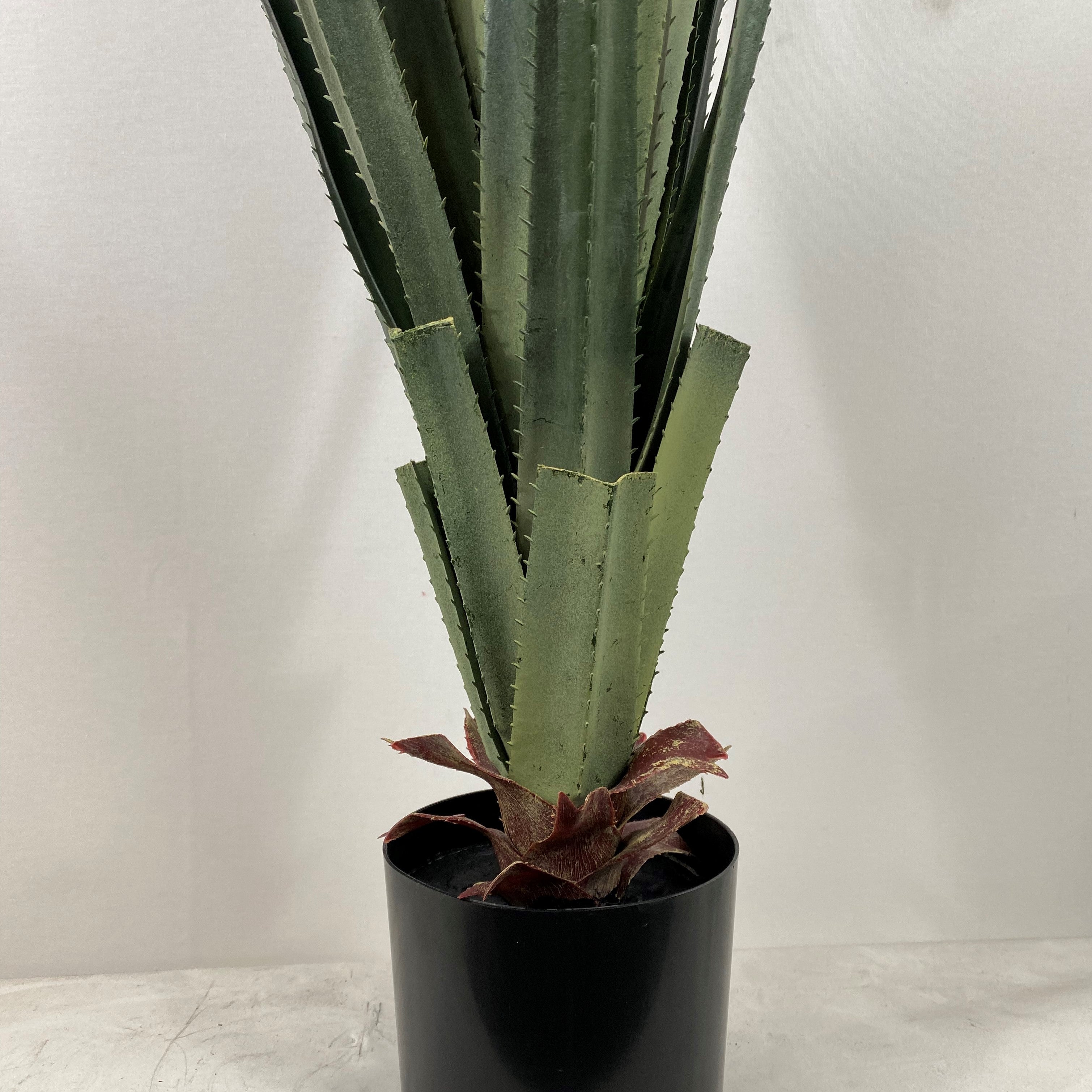Giant Agave 40"