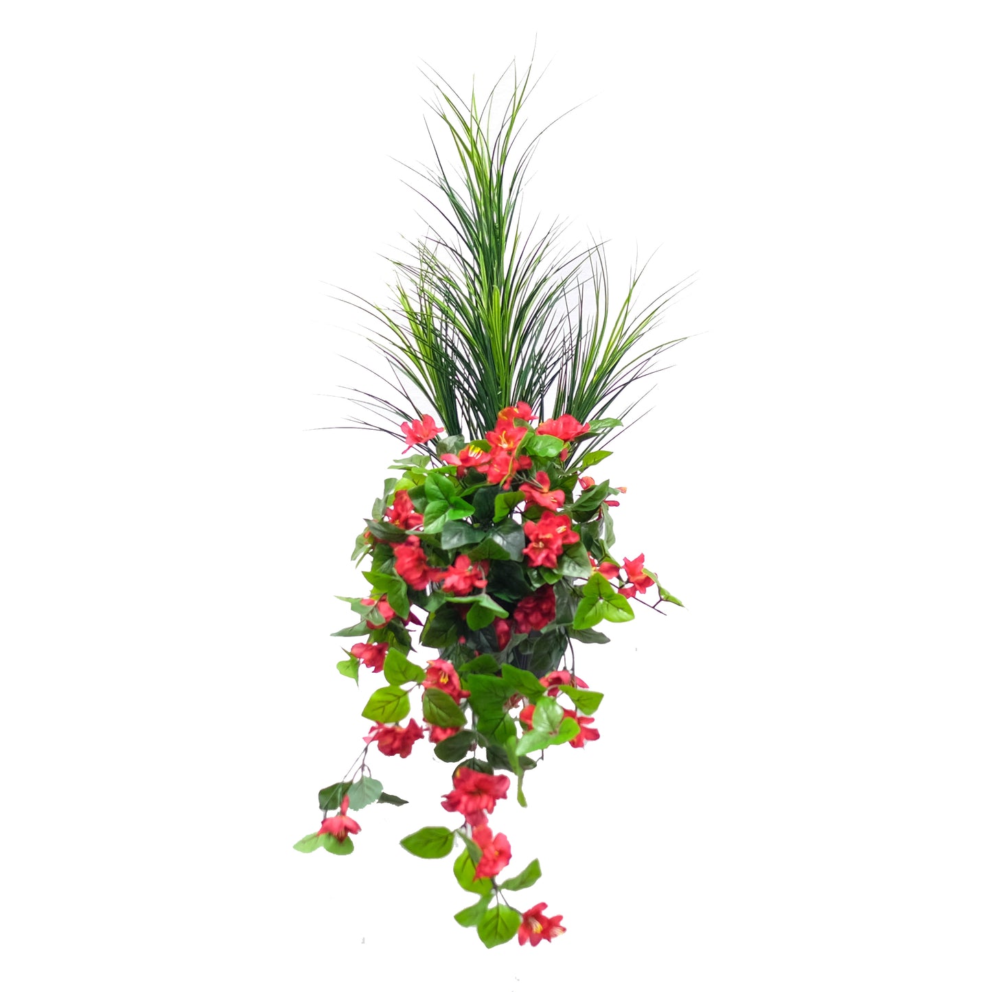 Flowering Dracena Arrangement