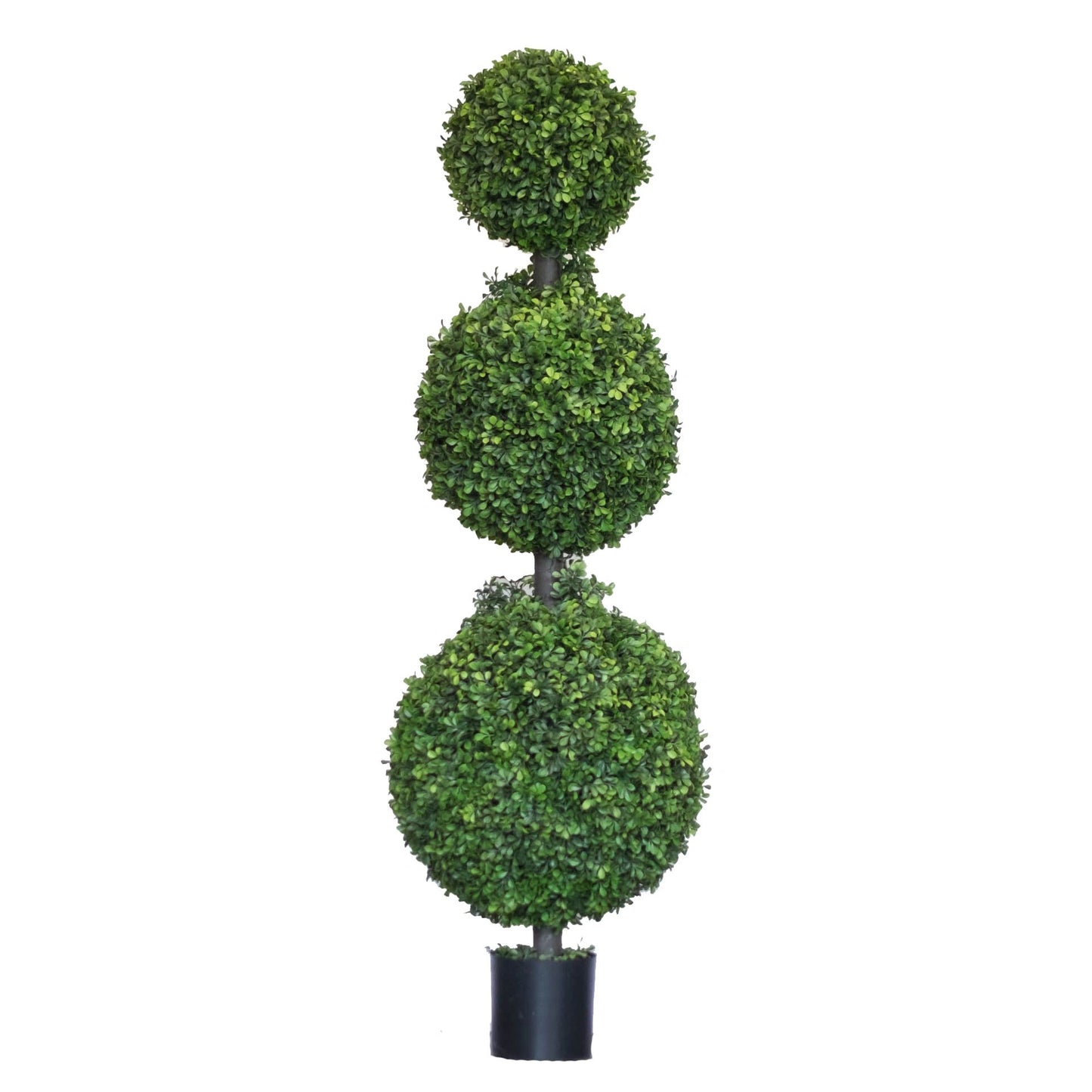 Boxwood Triple Ball Top (in-store pickup only)