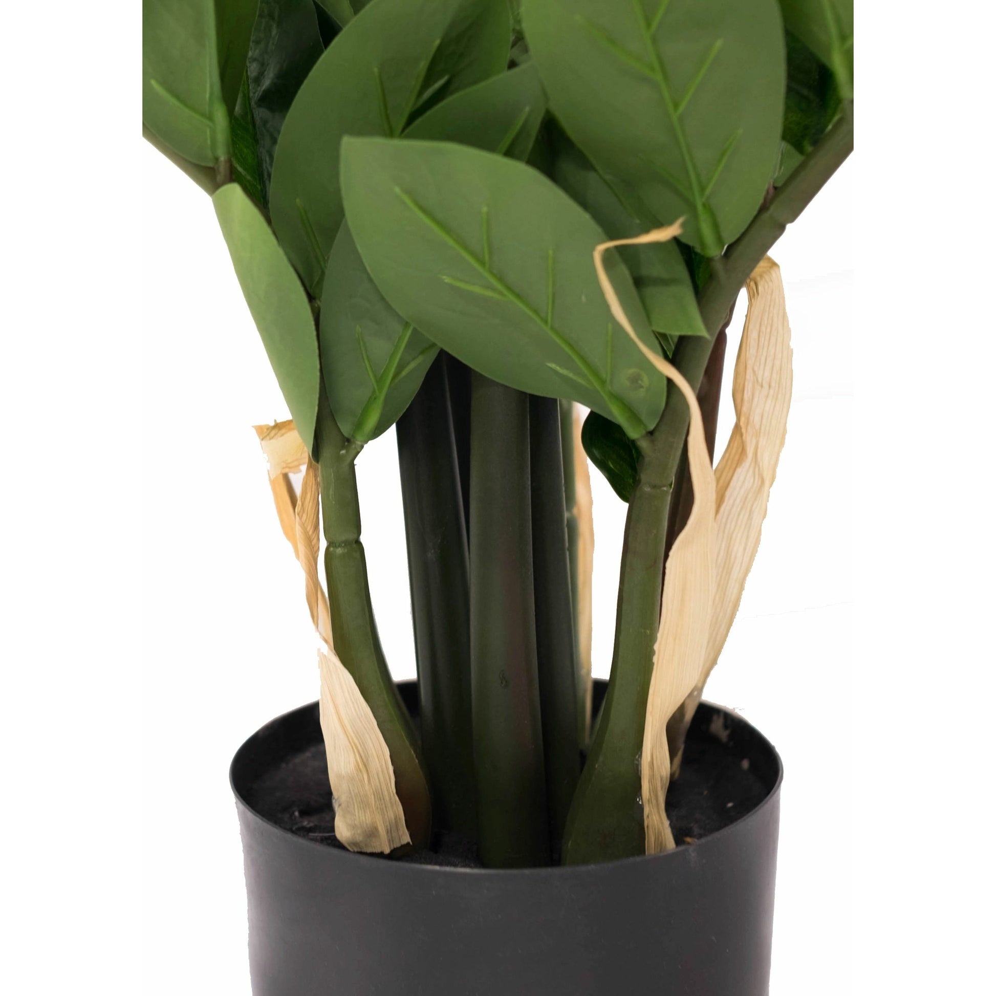 fake zz plant Artificial ZZ Plant – Faux Plant in Canada