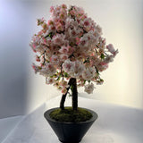 Custom table top blossom tree (instore pick up only)