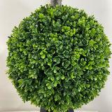 BOXWOOD DOUBLE BALL 43"