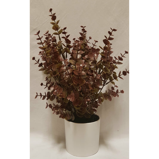 Copper Eucalyptus