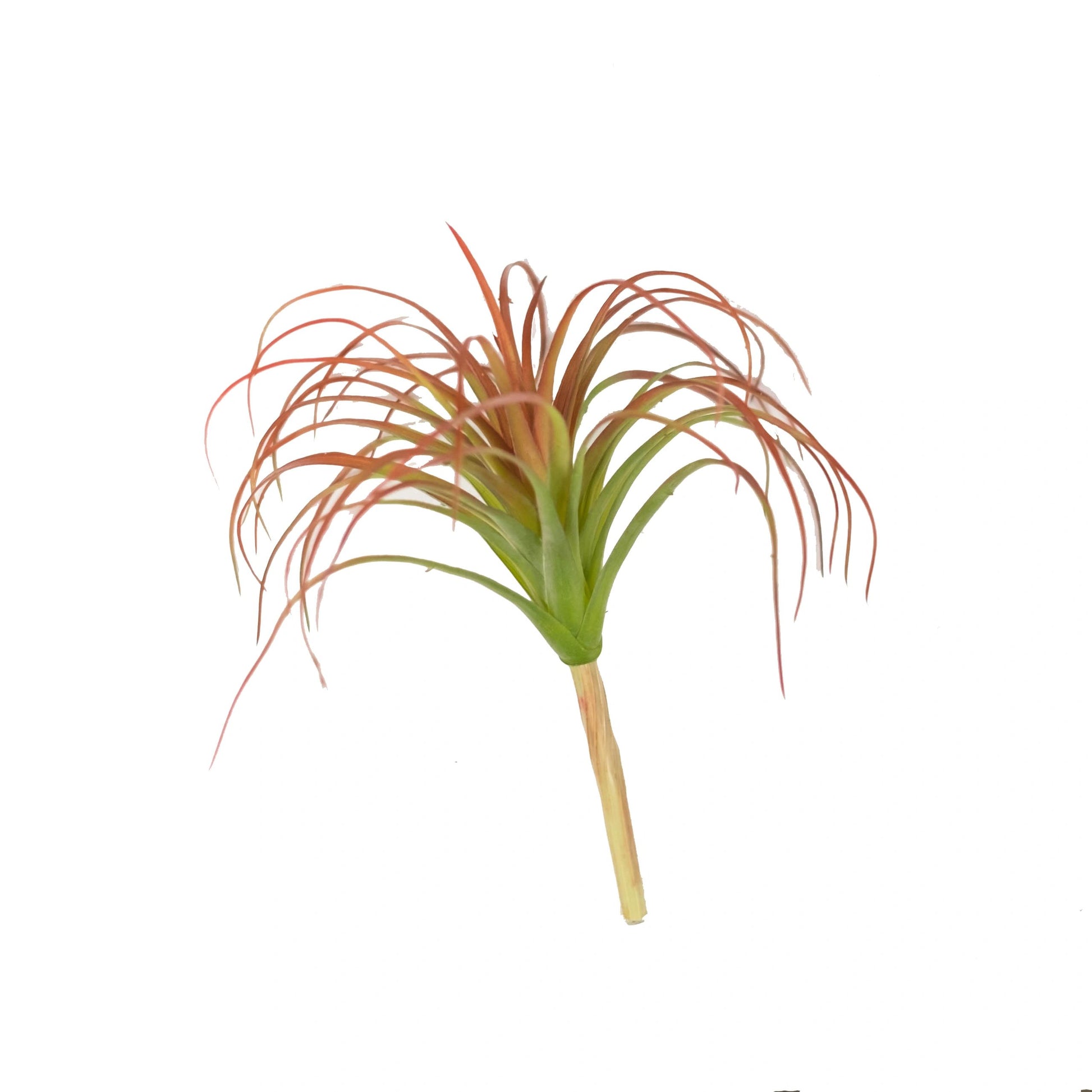 buy air plants canada Faux Air Plant 10" - Pack of 3