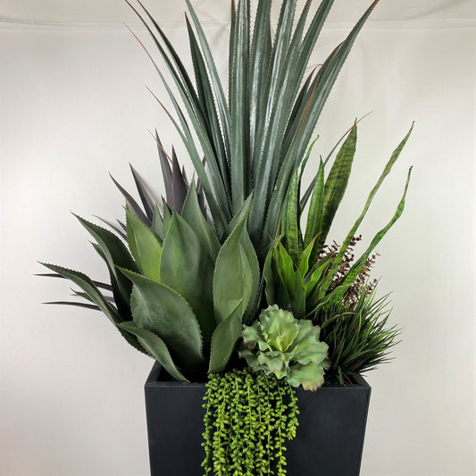 Desert succulent Deluxe (instore pickup only)