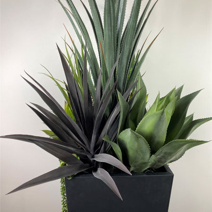 Desert succulent Deluxe (instore pickup only)