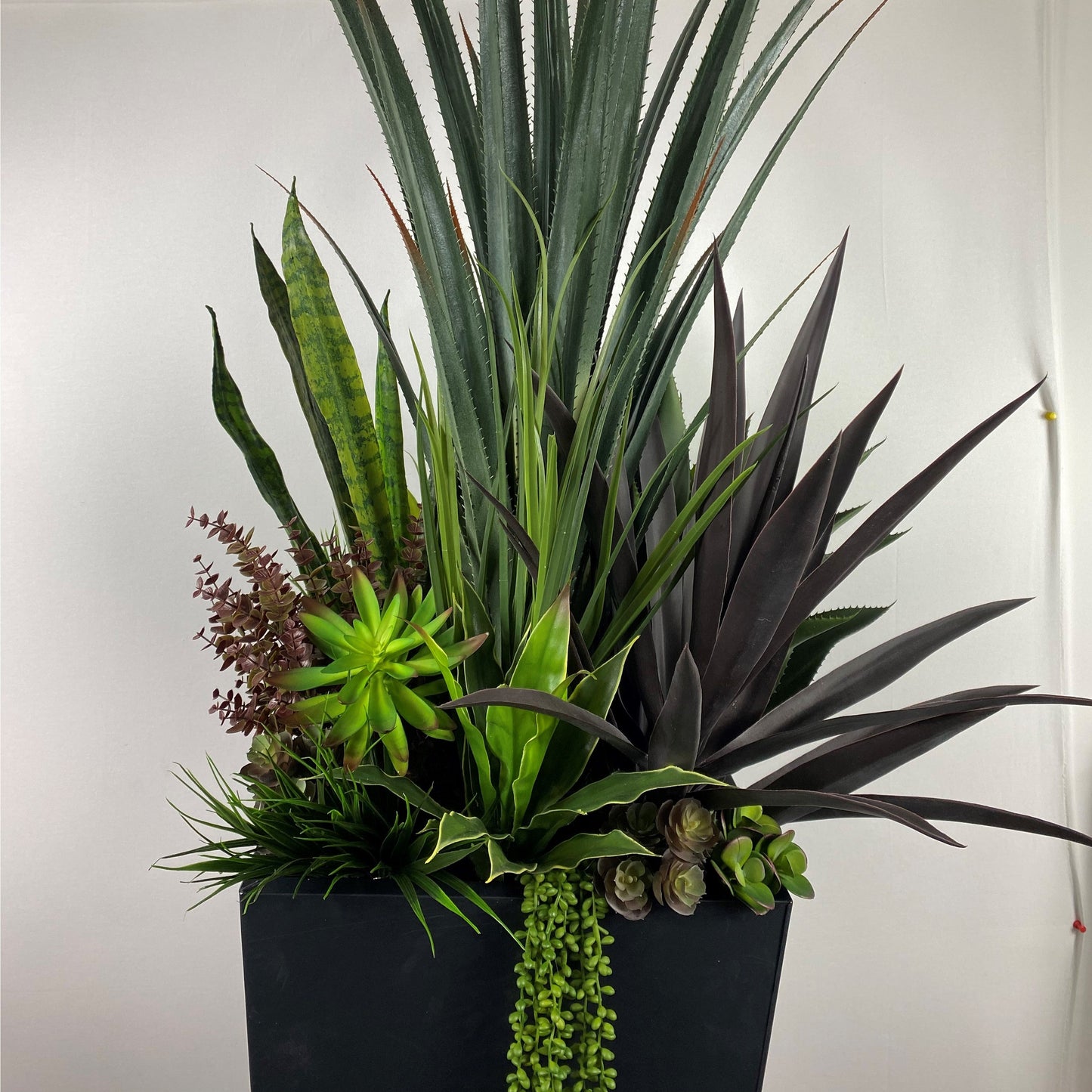 Desert succulent Deluxe (instore pickup only)