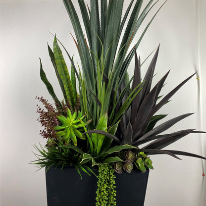 Desert succulent Deluxe (instore pickup only)