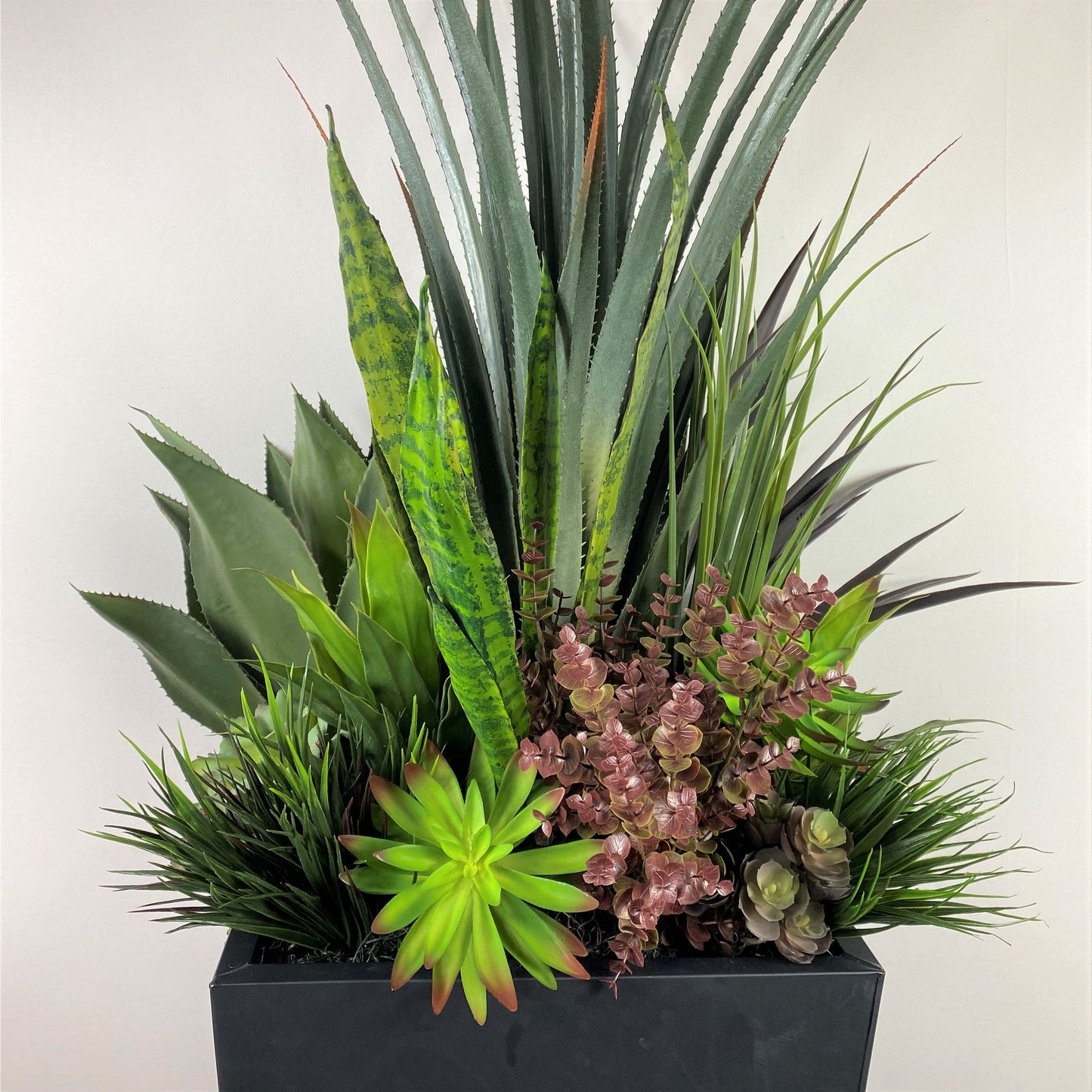 Desert succulent Deluxe (instore pickup only)