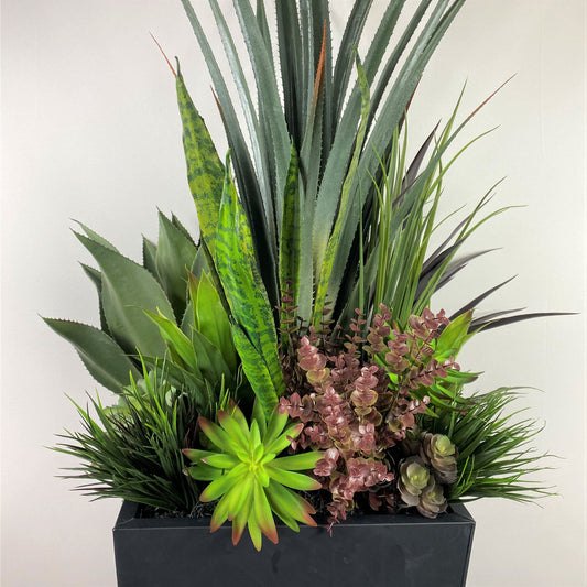 Desert succulent Deluxe (instore pickup only)