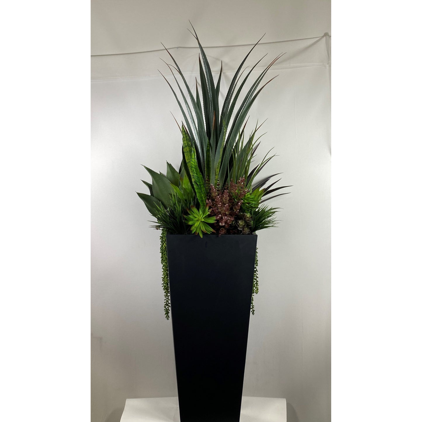 Desert succulent Deluxe (instore pickup only)