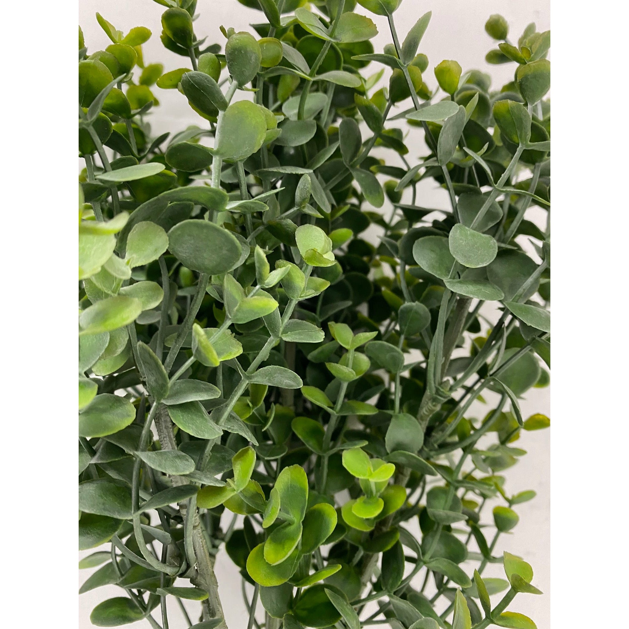 Eucalyptus bush 15" (Pack of 3)