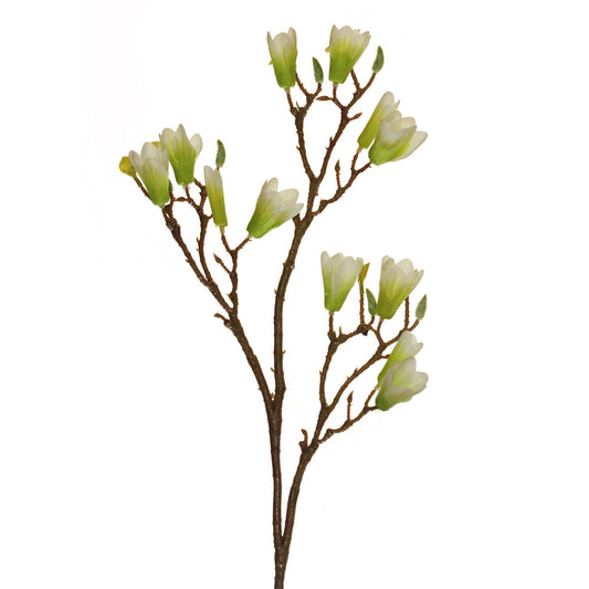 Blooming Magnolia 34" (Pack of 3)