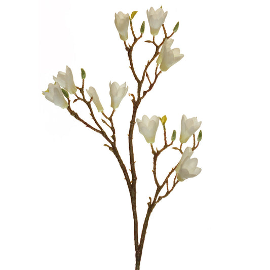 Blooming Magnolia 34" (Pack of 3)