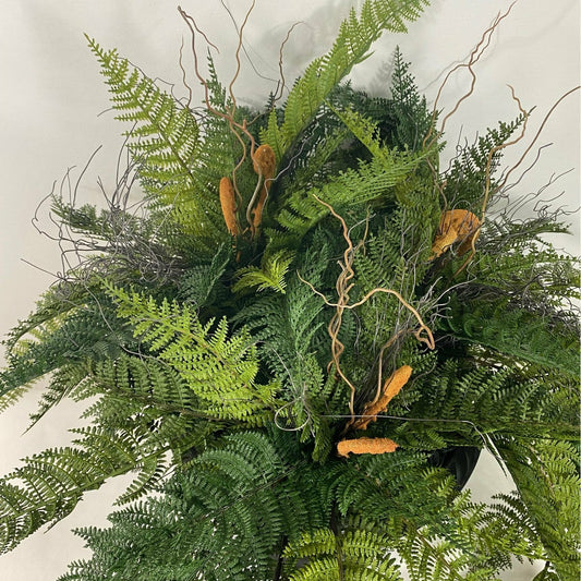 FERNALICIOUS!