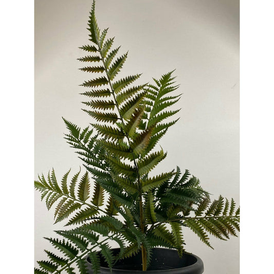 Fern Bush 22" pack of 3