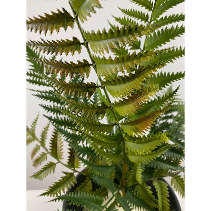 Fern Bush 22" pack of 3