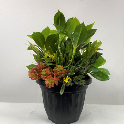 Mixed Garden Insert