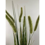 Cattail grass 37" with pot
