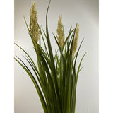 Plume grass 22" (pack of 3)